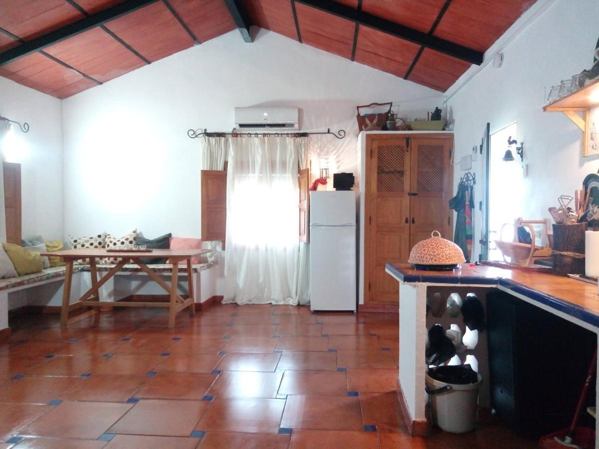 Cortijo Andaluz En Sierra Morena - Naturaleza Villaviciosa de Córdoba Exterior foto