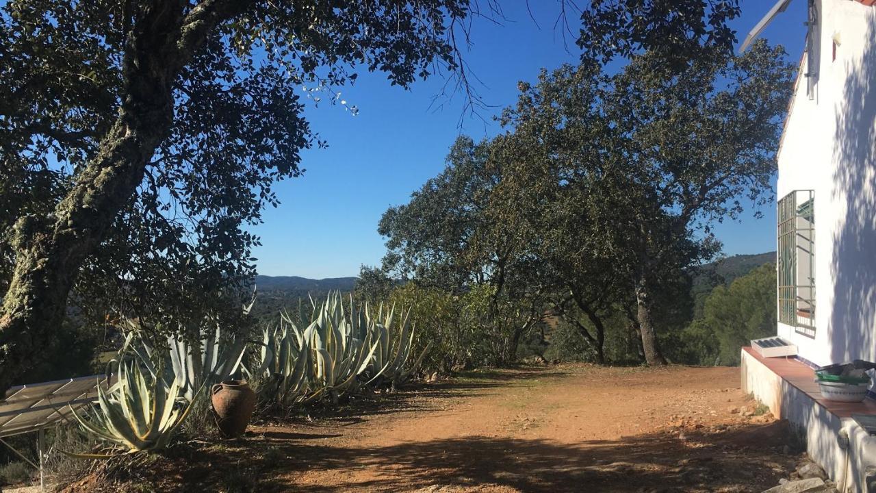 Cortijo Andaluz En Sierra Morena - Naturaleza Villaviciosa de Córdoba Exterior foto