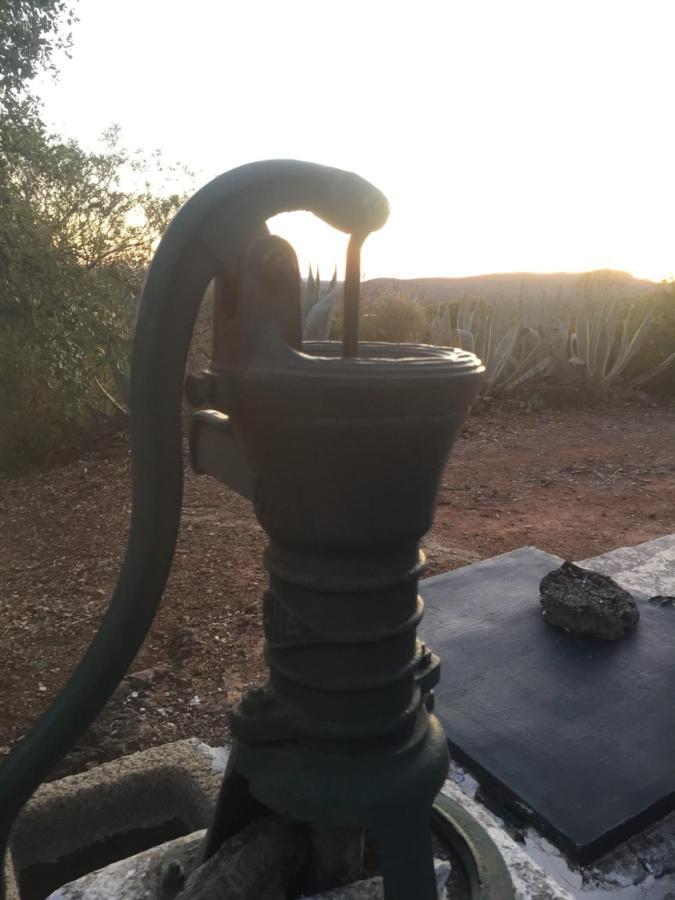 Cortijo Andaluz En Sierra Morena - Naturaleza Villaviciosa de Córdoba Exterior foto